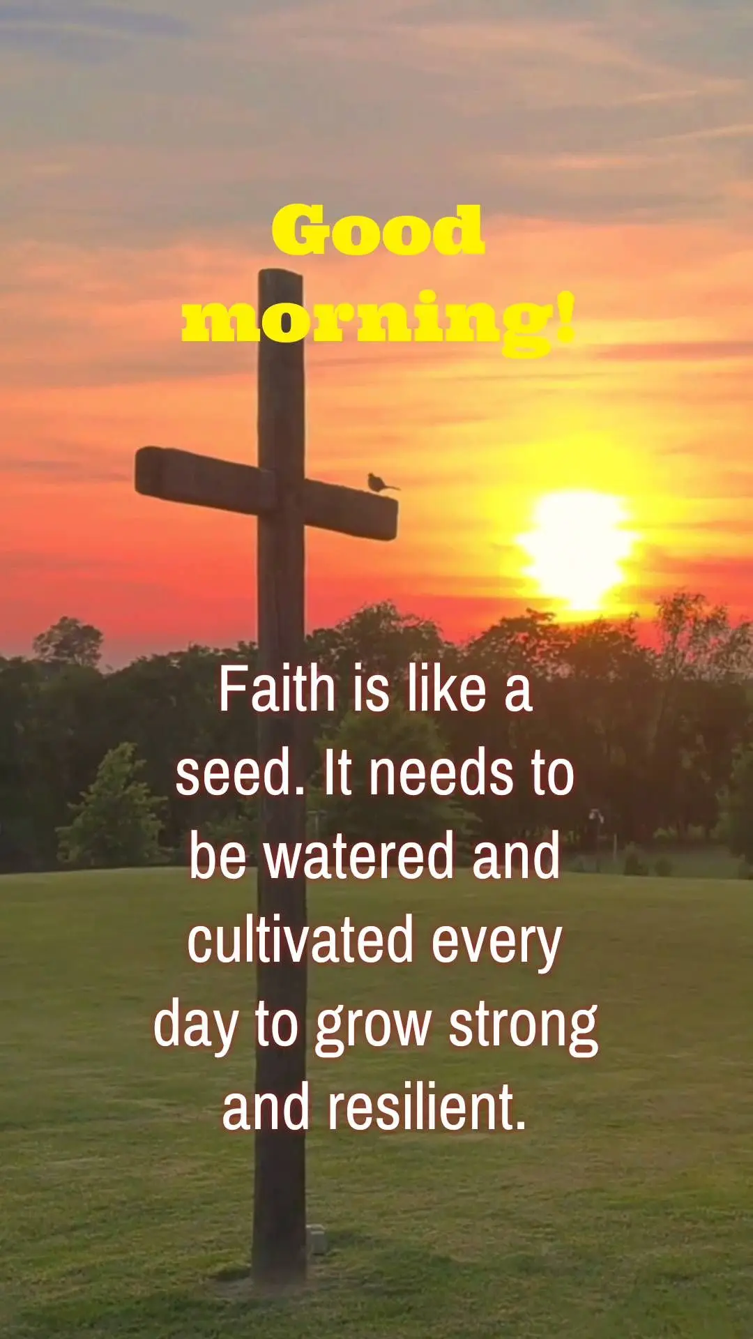 A fé é como uma semente, precisa ser regada e cultivada todos os dias para crescer forte e resistente.  Bom dia!