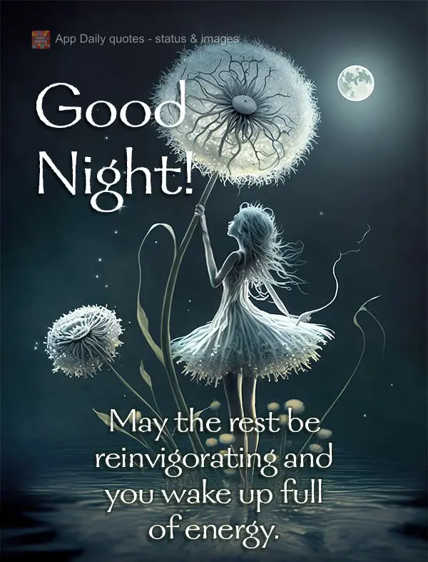 May the rest be reinvigorating and you wake up full of energy. Good night!