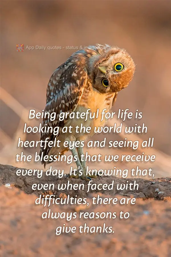 Being grateful for life is looking at the world with heartfelt eyes and seeing all the blessings that we receive every day. It's knowing that, even when ...