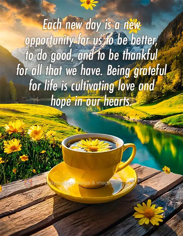 Cada novo dia é uma nova oportunidade de sermos melhores, de fazer o bem e de agradecer por tudo que temos. Ser grato pela vida é cultivar o amor e a e...
