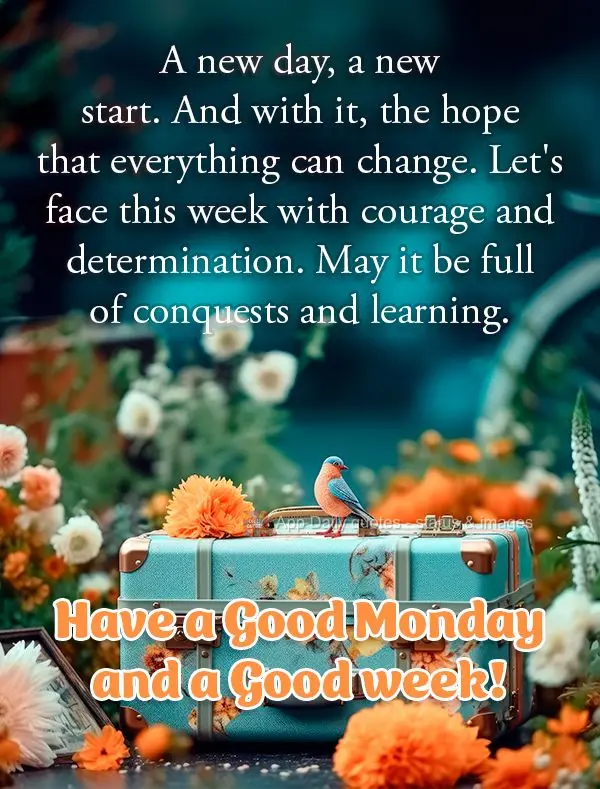 A new day, a new start. And with it, the hope that everything can change. Let's face this week with courage and determination. May it be full of conquest...