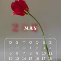 Que as flores de maio tragam alegria e renovação para nossas vidas.  Maio