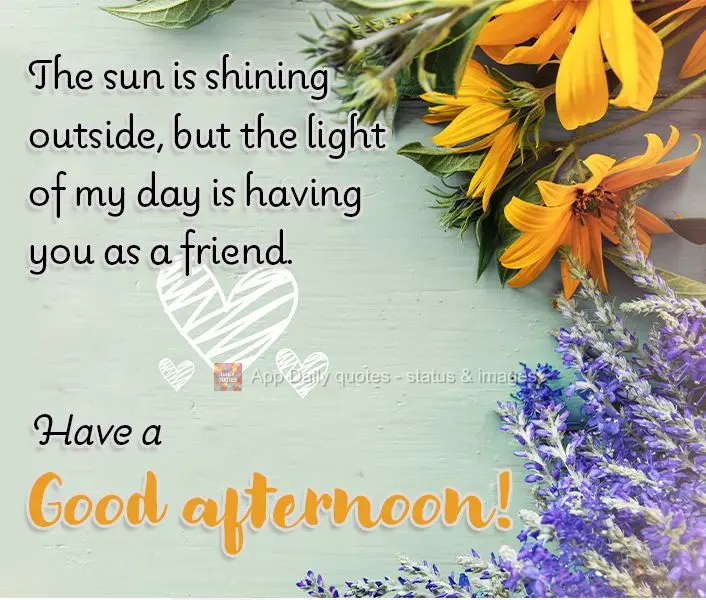 O sol está brilhando lá fora, mas o brilho do meu dia é ter você como amigo. Tenha uma boa tarde!