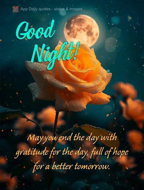 Que você possa terminar o dia com gratidão pelo dia vivido, e cheia de esperança por um amanhã melhor. Boa noite!