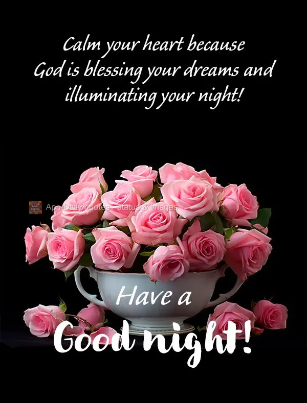 Tranquilize seu coração porque Deus está abençoando os seus sonhos e iluminando a sua noite! Tenha  uma Boa noite!