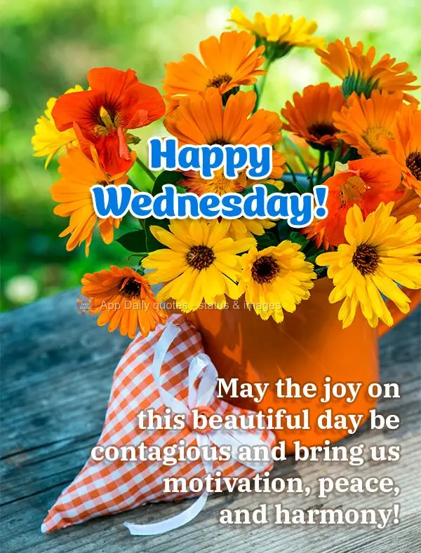 Que seja contagiante a alegria deste lindo dia que nos dá motivação, paz e harmonia! Feliz Quarta-feira!