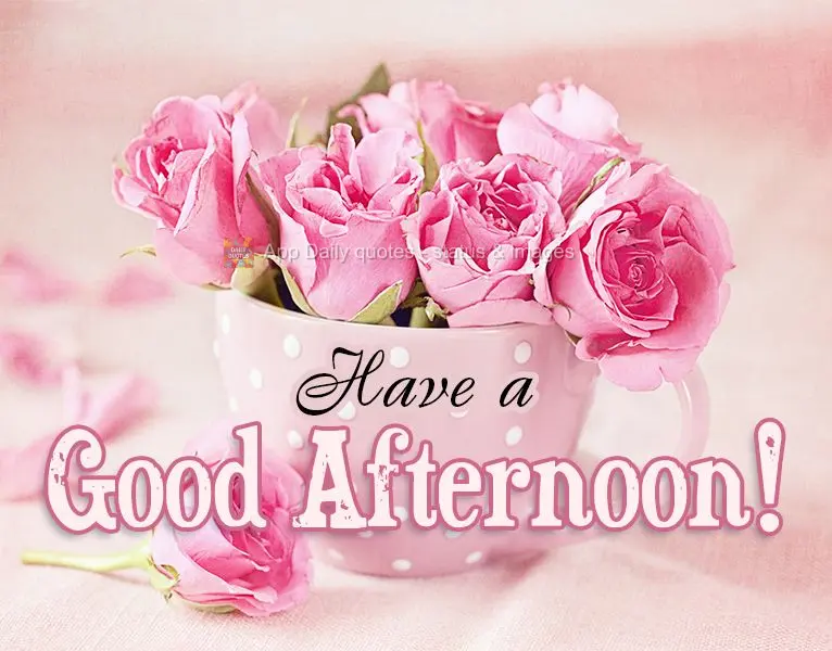 Tenha uma Boa tarde!