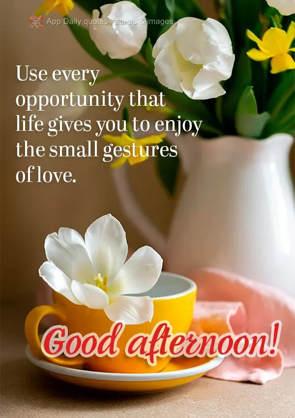 Aproveite cada oportunidade que a vida lhe dá para se alegrar com os pequenos gestos de carinho. Boa tarde!