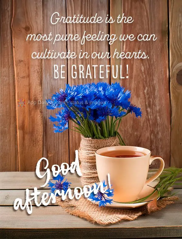 Gratitude is the most pure feeling we can cultivate in our hearts. Be grateful! Good afternoon!