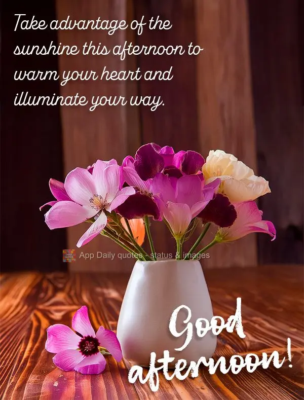 Take advantage of the sunshine this afternoon to warm your heart and illuminate your way. Good afternoon!