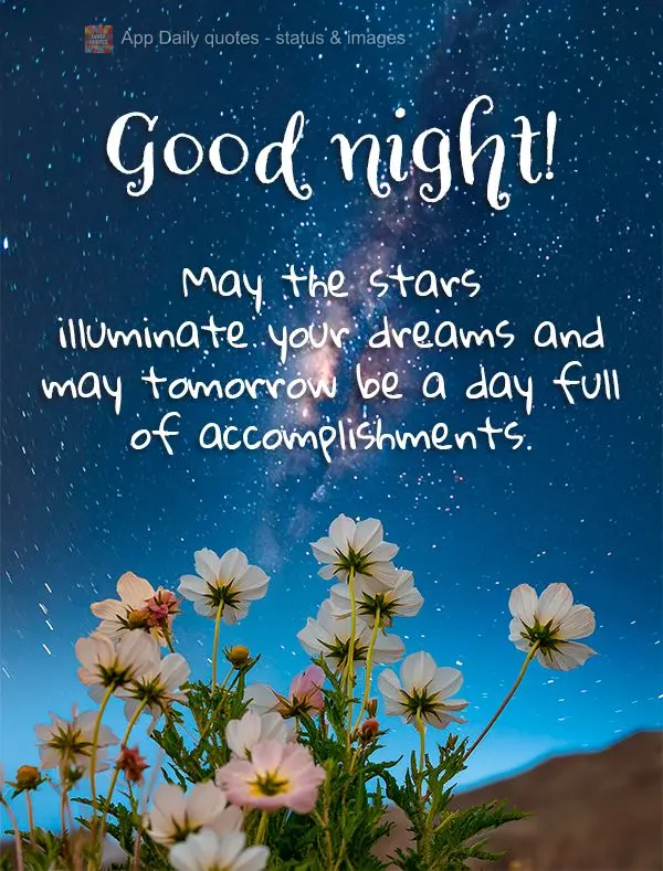 May the stars illuminate your dreams and may tomorrow be a day full of accomplishments. Good night!