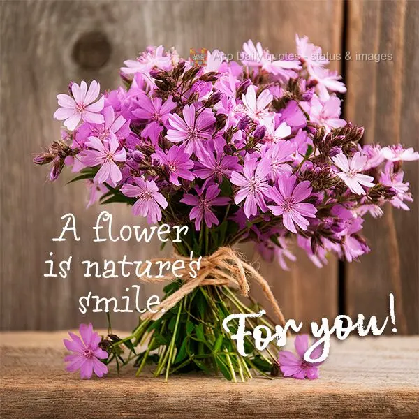 Uma flor é um sorriso da natureza. Par você!