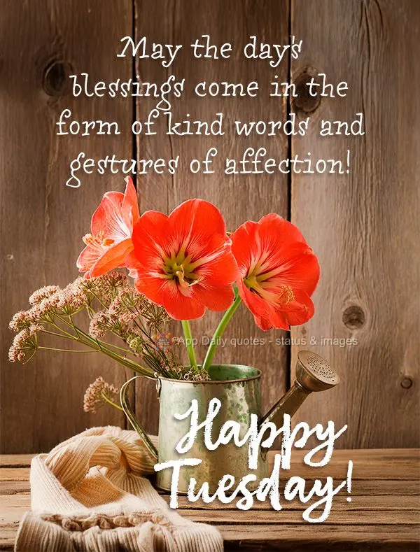 May the day's blessings come in the form of kind words and gestures of affection! Happy Tuesday!