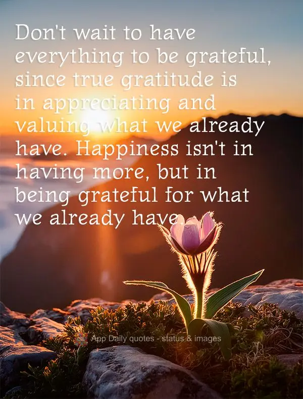 Não espere ter tudo para ser grato, pois a verdadeira gratidão está em apreciar e valorizar o que já temos. A felicidade não está em ter mais, mas ...