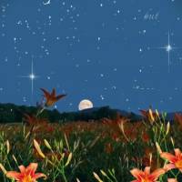 “Como és grande, ó Senhor, nosso Deus! Não há ninguém igual a ti; como temos ouvido dizer, somente tu és Deus; não existe outro.” 2 Samuel 7:2...