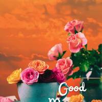 Que o seu dia seja abençoado e que a felicidade seja sua companheira de jornada. Lembre-se sempre de agradecer por tudo que tem e de valorizar as pequen...