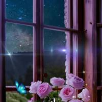 Não importa quão difícil tenha sido o seu dia, nunca se esqueça de agradecer por todas as bênçãos que recebeu. A gratidão é uma das melhores for...