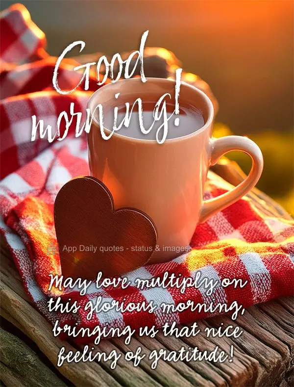 Que o amor se multiplique nesta gloriosa manhã, nos trazendo um lindo sentimento de gratidão! Bom dia!