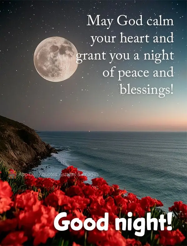 Que Deus possa tranquilizar seu coração e lhe conceber uma noite de paz e bênçãos! Boa noite!