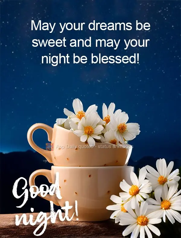 Que seja doce os seus sonhos e abençoada a sua noite! Boa noite!