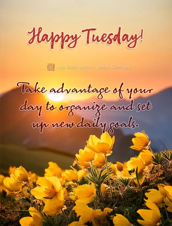 Aproveite o seu dia para se organizar e traçar novas metas diárias. Feliz Terça-feira!