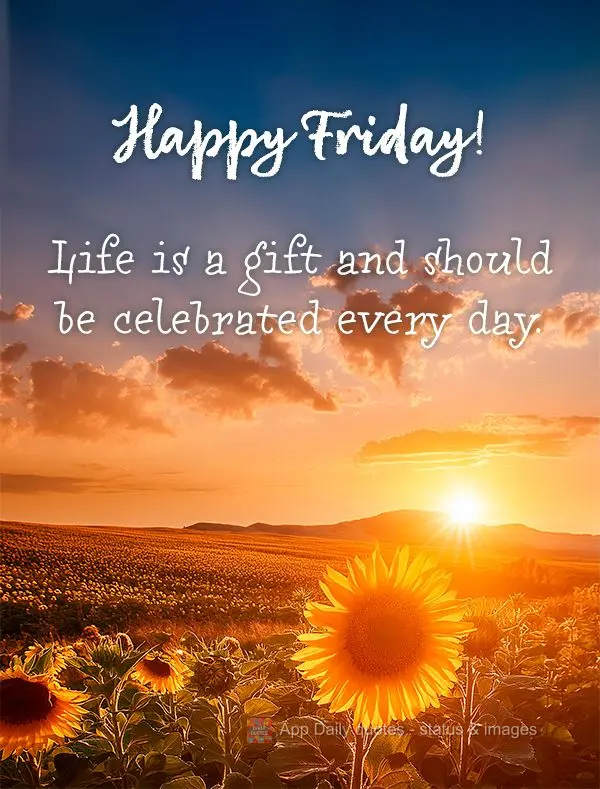A vida é um presente e deve ser celebrada todos os dias. Feliz Sexta-feira!