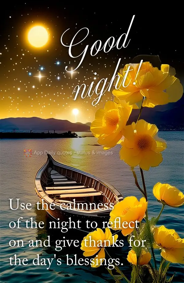 Aproveite a calmaria da noite para refletir e agradecer pelas bênçãos do dia. Boa noite!