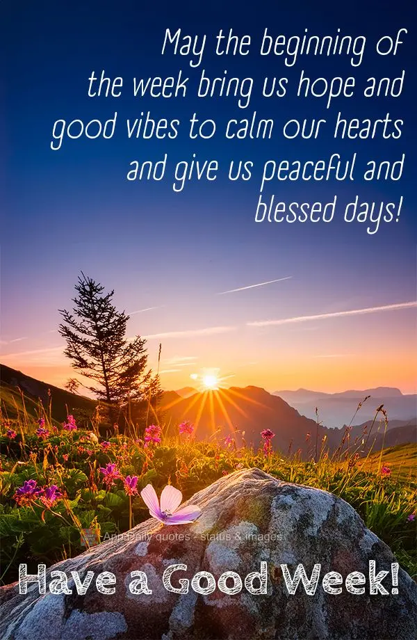 May the beginning of the week bring us hope and good vibes to calm our hearts and give us peaceful and blessed days! Have a Good Week!