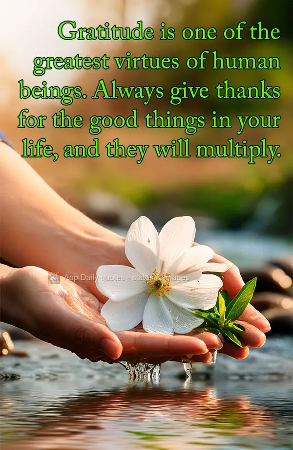 A gratidão é uma das maiores virtudes do ser humano. Agradeça sempre pelas coisas boas da sua vida e elas se multiplicarão."