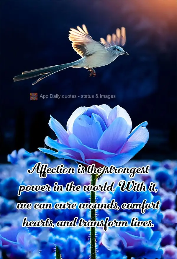 O carinho é a força mais poderosa do mundo. Com ele, podemos curar feridas, confortar corações e transformar vidas.