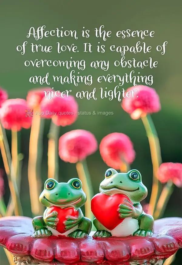 O carinho é a essência do amor verdadeiro. Ele é capaz de superar qualquer obstáculo e tornar tudo mais bonito e leve.