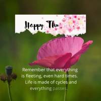 Lembre-se de que tudo é passageiro, inclusive os momentos difíceis. A vida é feita de ciclos e tudo passa. Feliz Quinta-feira!