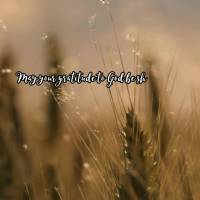 Que a gratidão a Deus seja compartilhada com todos, pois Ele é quem nos oferece o dom da vida e a oportunidade de evoluir.