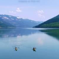 Que a gratidão a Deus seja uma luz que ilumina seu caminho, pois Ele é quem nos guia para o bem e nos protege do mal.