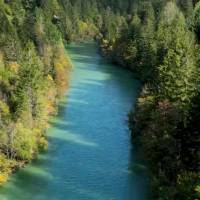 Que a tarde seja leve e cheia de sorrisos. 
Aproveite cada momento com gratidão.