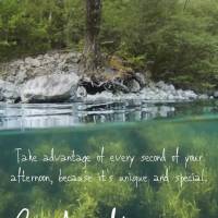 Aproveite cada segundo desta tarde, pois ela é única e especial. Boa tarde!