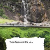 A tarde é o momento ideal para relaxar e recarregar as energias. Tenha uma boa tarde!