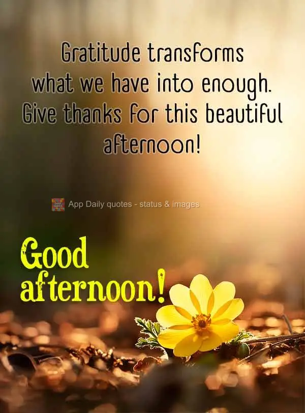 A gratidão transforma o que temos em suficiente. Agradeça por esta linda tarde! Boa tarde!