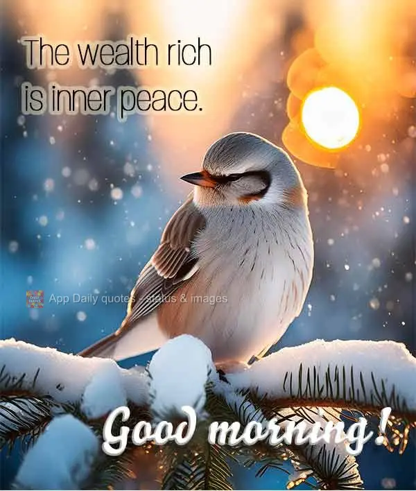 A maior riqueza é ter paz interior. Bom dia!