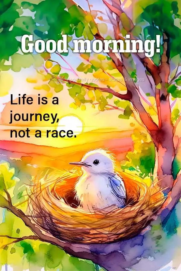 A vida é uma jornada, não uma corrida. Bom dia!