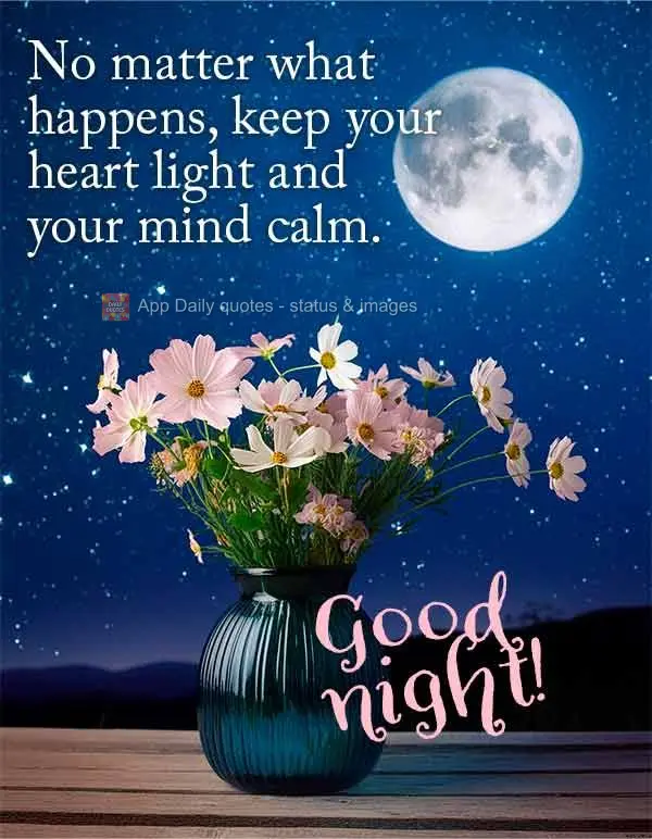 Não importa o que aconteça, mantenha o seu coração leve e a sua mente tranquila. Boa noite!