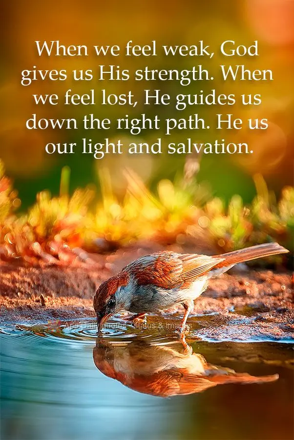 When we feel weak, God gives us His strength. When we feel lost, He guides us down the right path. He us our light and salvation.
