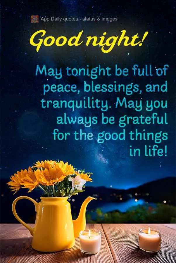 Que esta noite seja de paz, bênçãos e tranquilidade, que possa estar em sempre grato pelas coisas boas da vida! Boa noite!