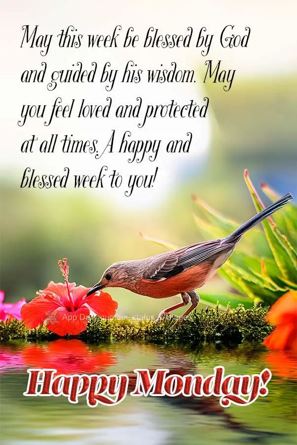 May this week be blessed by God and guided by his wisdom. May you feel loved and protected at all times. A happy and blessed week to you! Happy Monday!...