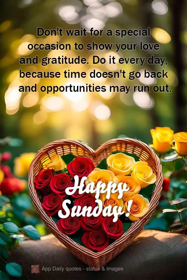 Don't wait for a special occasion to show your love and gratitude. Do it every day, because time doesn't go back and opportunities may run out. Happy Sun...