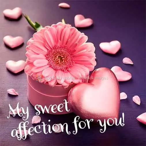 Um carinho para você!