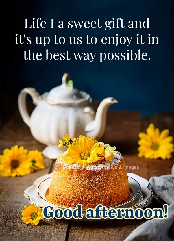 A vida é um doce presente e cabe a nós saboreá-la da melhor forma possível. Boa tarde!