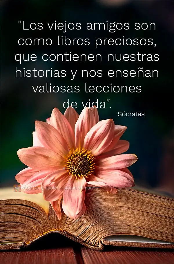 Deixe Deus ser o piloto da sua vida e a fé ser o seu combustível.