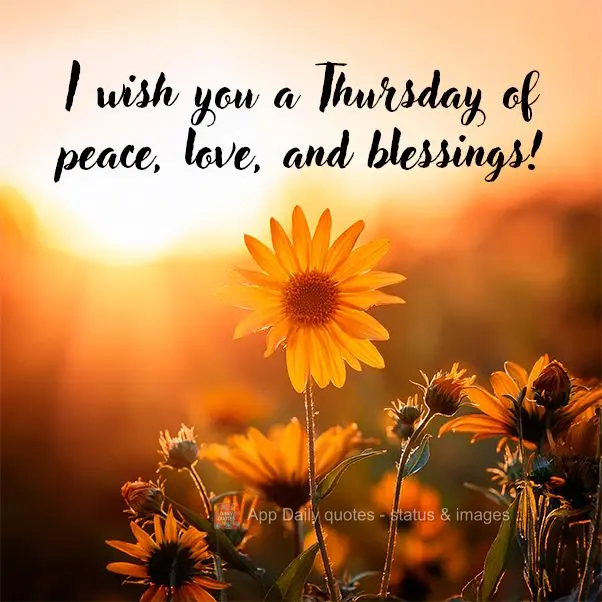 Desejo um Quinta-feira de paz, amor e bênçãos!