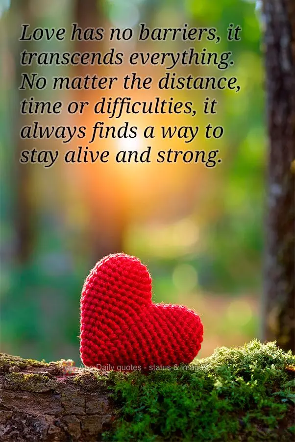 O amor não tem barreiras, ele transcende tudo. Não importa a distância, o tempo ou as dificuldades, ele sempre encontra uma forma de se manter vivo e ...